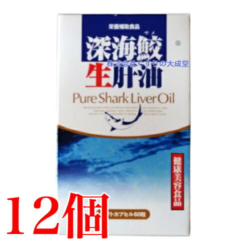 12ޤǤΤʸȯ  60γ 12 ٻ