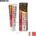 13時までのご注文 薬用はみがき 薬用 渋ケア 100g 2個 常盤薬品 ノエビアグループ トキワ 医薬部外品 歯磨き粉