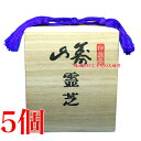 寿山霊芝 72包 5個 中央薬品 バイタルファーム