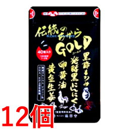 広貫堂 伝統のちから GOLD ゴールド 40粒 12個 旧 伝統のちから 廣貫堂 伝統のちからゴールド