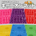 足つぼマット まがり堂 元気を呼び戻せ 足つぼキャニオンマット ◇ 送料無料 健康 ダイエット 室内運動 刺激 ツボ押し マット 腰痛 頭痛 肩こり 冷え性 疲労 睡眠不足 痩身 足裏 指圧 リンパ 官足法 青竹踏み 青竹ふみ マッサージ 改善 解消