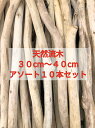 送料無料●南信州アルプス天然流木 枝流木 10本 格安アソートまとめ売り販売 30センチ以上40センチ未満 ハンドメイド素材マクラメタペストリー素材流木インテリア流木素材流木アートインダストリアル