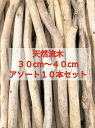 南信州産 天然流木 枝流木 10本 格安アソートまとめ売り販売 30センチ以上40センチ未満　ハンドメイド素材 マクラメタペストリー 流木インテリア 流木素材 流木アート エアープランツ ドライフラワー スワッグ いけばな 花屋 リース 流木卸売