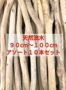 【送料無料】南信州産 アルプス 国産 天然流木 枝流木 10本 格安アソートまとめ売り販売 90センチ以上100センチ未満●クリスマス マクラメタペストリー 流木インテリア 流木アート ドライフラワー エアープランツ スワッグ リース ナチュラル雑貨 木工 花屋 グリーン