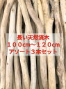 【送料無料】南信州 アルプス産 天然流木 長い枝流木 アソート販売 100cm〜120cm 3本セット●流木インテリア 流木ハンドメイド DIY インテリアデザイン 店舗施工 ドライフラワー 店舗デザイン 店舗装飾 エクステリア 木工 ナチュラルインテリア プランツハンガー マクラメ