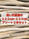 【送料無料】南信州産 国産 天然流木 長い枝流木 アソート販売 200cmから220cm 2本セット●流木インテリア 流木アート 建築 DIY インテリアデザイン 店舗施工 リフォーム リノベーション ドライフラワー エアープランツ いけばな 店舗デザイン インテリアグリーン 流木卸売