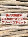 【送料無料】南信州 アルプス産 天然流木 長い枝流木 アソート販売 240cmから270cm 2本セット●店舗装飾 流木インテリア 流木ハンドメイド素材 DIY インテリアデザイン 店舗施工 リフォーム リノベーション ドライフラワー エアープランツ いけばな ドライフラワー 建築 花屋