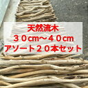 送料無料●南信州アルプス天然流木 枝流木 20本 格安アソートまとめ売り販売 30センチ以上40センチ未満 ハンドメイド素材マクラメタペストリー素材流木インテリア流木素材流木アートインダストリアル