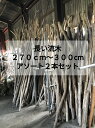 【送料無料】南信州産 国産 天然流木 長い枝流木 アソート販売 270cm〜300cm 2本セット●3m インテリア ハンドメイド DIY フェイクグリーン ツ...