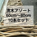 【送料無料】南信州産 アルプス 国産 天然流木 枝流木【60cmから80cm】【10本セット】格安アソートまとめ売り販売 ●ハンドメイド マクラメ ドライフラワー エアープランツ インテリア ディスプレイ 木工 天然素材 DIY 建築 雑貨 花屋 店舗デザイン 店舗装飾 苔 造園