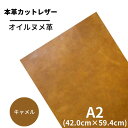 【バット】本革【A2】 レザー キャメル 茶 茶色 ヌメ ヌメ革 オイル オイルヌメ 皮 革 本革 牛本革 ハギレ カットクロス お買い得 安い セット 財布 ...