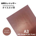 【バット】 本革 【A3】【3503レッドブラウン】レザー レッドブラウン ヌメ革 ベジタブルタンニンなめし 赤 茶色 ヌメ オイル オイルヌメ 皮 革 牛本革...