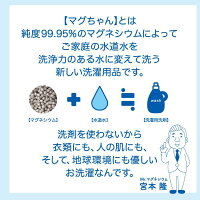 マグネシウムと水が石鹸に