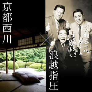 【NEWプレミアム】頚椎・首・頭をやさしく支える健康枕