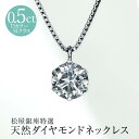 【到着後レビューで500円クーポンGET】松屋銀座特選 DカラーSIクラス0.5ct 天然ダイヤモンドペンダントネックレス ※5〜7営業日で順次発送 TVショッピング 松屋 松屋銀座外商部 プラチナ ベネチアン JCCショップ限定 プレゼント ギフト 誕生日 クリスマス