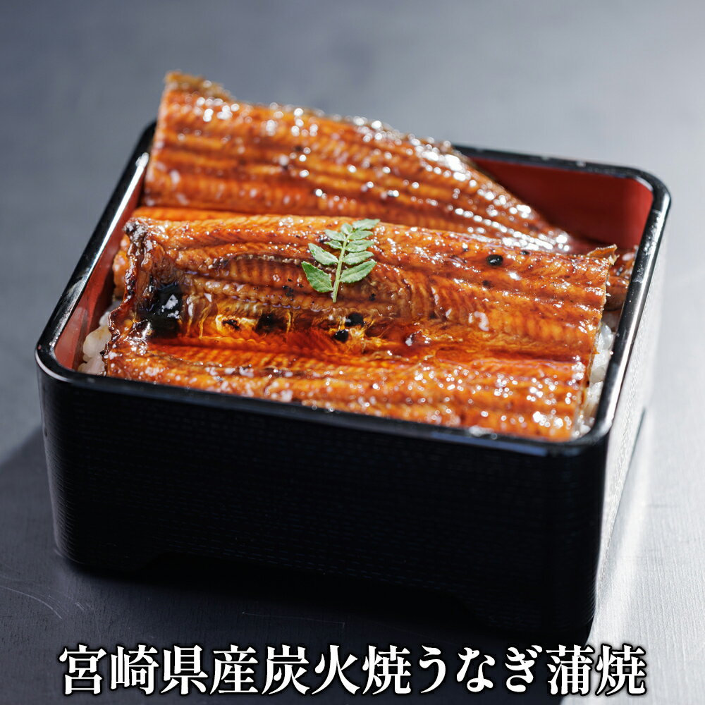 樂天商城 - 宮崎県産炭火焼うなぎ蒲焼（蒲焼のたれ＆さんしょう付き）1尾約160g 1尾/3尾　3尾セットだと2440円もお得！