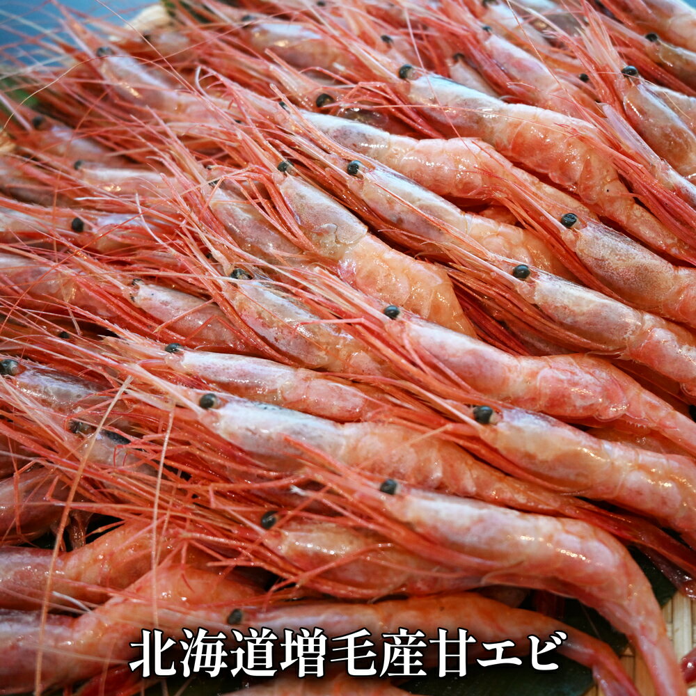 樂天商城 - とろけるような食感と甘さ！2026年新物！北海道増毛産 甘エビ1kg　大容量　お得