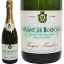 フランスワイン クレマン ド ブルゴーニュブリュット スパークリングワイン ブルゴーニュ 750ml CREMANT DE BOURGOGNE BRUT 微炭酸 フランスワイン 高級ワイン ヴィンテージ ビンテージ wine 御礼 プレゼント お土産 ギフト 御祝 贈り物 パーティー F-4