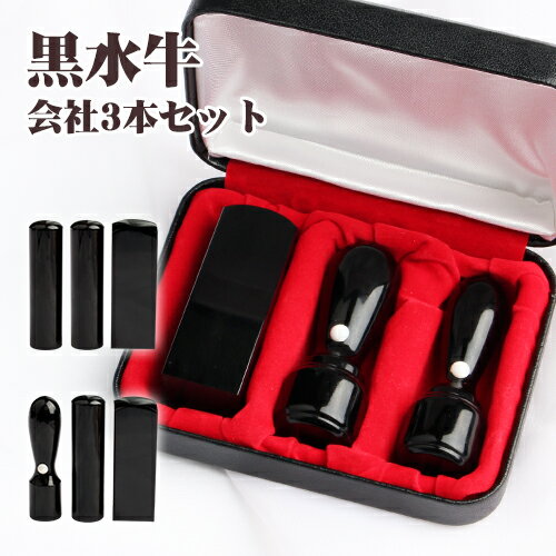 会社印鑑セット 会社代表印・銀行印・角印 会社設立セット 法人印鑑3セット「印鑑証明 登記 文房具 個人事業主 請求書 領収書」3つのタイプから選び放題！黒水牛3本セット実印18.0mm+銀行印16.5mm+角寸胴21.0mm 高級法人3本セット用印鑑ケース付 宅配便（GN）