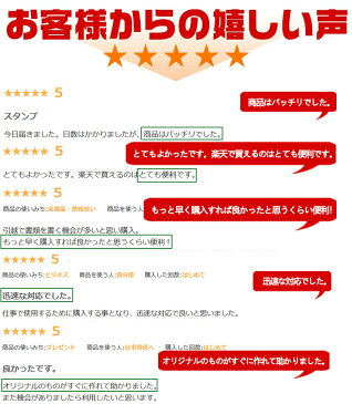 シャチハタ Xスタンパー 角型印 ネーム印 浸透印 オーダー オリジナルスタンプ ビジネススタンプ ゴム印 科目印 別製 事務 会社 四角 作成 姓名 送料無料★シャチハタ 氏名印 5×29mm(別注品) 【WZ】