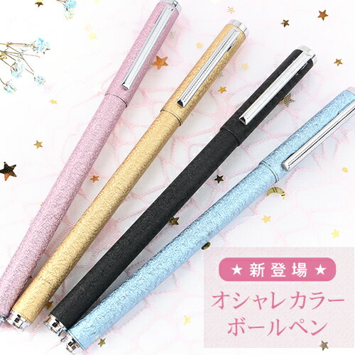 【在庫処分】ボールペン 送料無料 筆記具 ギフト おしゃれ ファッション オシャレ お洒落 オリジナル 文房具 誕生日 成人 就職祝 入学祝 卒業記念 周年記念...