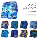 【ポイント10倍】メンズ 水着 トランクス 海パン サーフパンツ 男性 水泳服 ボトムス ビーチウェア 短パン ショートパンツ リゾート レジャー 海 プール