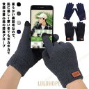 手袋 ハンドウォーマー ニット 手ぶくろ 防寒 秋 冬 スマホ手袋 裏起毛 スマートフォン対応 タッチパネル メンズ レディース かわいい