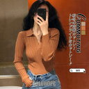 長袖 tシャツ レディース 防寒インナー Tシャツ トップス ポロシャツ Vネック カットソー 秋冬 ロング丈 ロングシャツ 体型カバー 冬服 インナー(4)