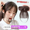 【25%OFF】3D構造前髪ウィッグ 人毛100% 分け目 手植え 用 ヘアピース 女性 部分ウイッグ かつら 付け毛 脱毛隠し 軽薄 白髪隠れ 増毛 前髪ウィッグ