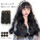 ウィッグ ロング カーリーヘア レディース 部分ウィッグ エクステ ロングヘア 3枚セット ロングカーリーヘア 茶色 カツラ 増毛 薄毛対策 黒 かつら