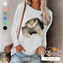 Tシャツ 長袖 レディース プルオーバー トップス ゆったり 猫柄 春 秋 冬 多色 ルームウェア 可愛い おしゃれ 通勤 通学 カジュアル 欧米