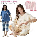 かわいい レディース 綿 大人用 部屋着 夏 パジャマ 上下セット 上下セット 母の日 上下セット 可愛いパジャマ ルームウェア 夏パジャマ 半袖パジ