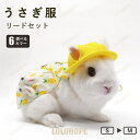 【ポイント10倍】うさぎ用 ペット服 リードセット 可愛い 小動物 ウサギ お散歩 お出かけ Dカン付き 記念撮影 着ぐるみ 簡単着脱 仮装 かわいい 涼しい ...
