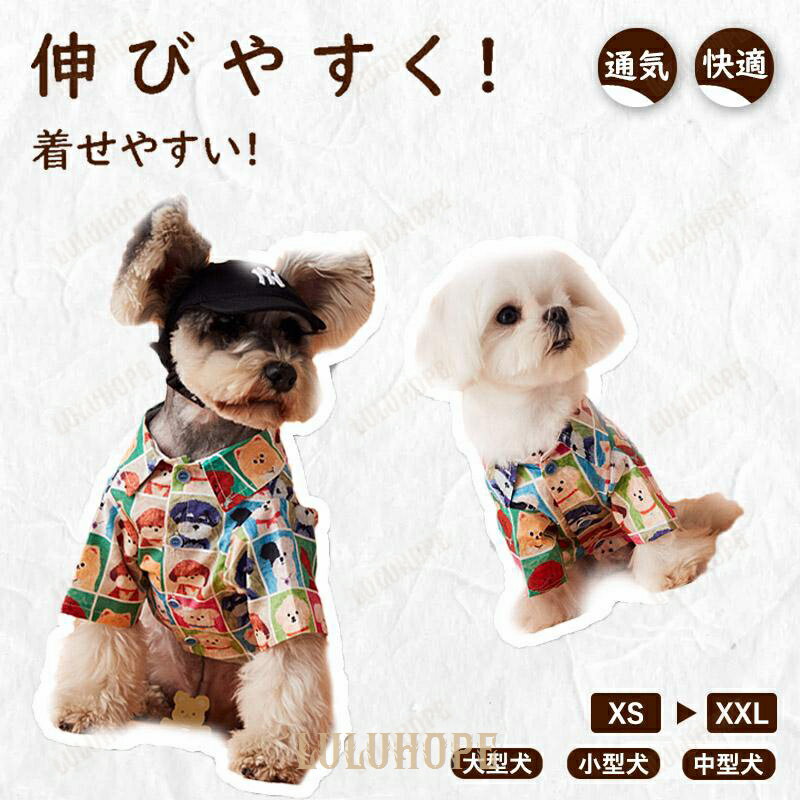 ޥ륻֥㤨ָ.ǭ  POLO  ڥå . ä̵Ǻ Ŭ .淿б Υȡ / å եǥ ե꡼ æñ 뤵к ڥåʡפβǤʤ2,506ߤˤʤޤ