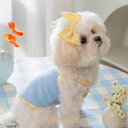 【ポイント10倍】ハート柄 犬 かわいい 服 小型犬 子犬 着せやすい ペット用 犬の服 犬用服 犬服 中型犬 春夏 お出かけ 涼しい 背中閉じ