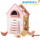 木のおもちゃ 型はめ 形合わせ パズル 木製 パズルボックス キャッスル 知育玩具 形状認識 指先遊び 赤ちゃん 1歳 2歳 3歳 おもちゃ プレゼント ギフト...
