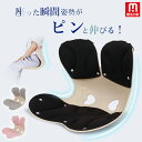 姿勢サポートチェア 骨盤 骨盤サポートチェア 椅子 テレワーク 在宅 在宅勤務 クッション 座椅子 姿勢が良くなる 骨盤矯正 在宅ワーク ヘルニア予防 ゆがみ ...