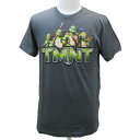 タートルズTシャツ TMNT CITYS Mサイズ ネコポス発送 マジックナイト T3CBM2B