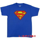 スーパーマン Classic ロゴ Youthサイズ【半袖 Tシャツ SUPERMAN DCコミックス アメコミ】L XL サイズ ネコポス配送 マジックナイト SM259YT