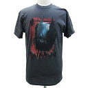 バットマン Fear Me ダークナイトライジング USA版 Tシャツ【BATMAN ブラック 黒 かっこいい キャラクター Tシャツ メンズ 海外版】S M Lサイズ ネコポス発送 マジックナイト BM2041