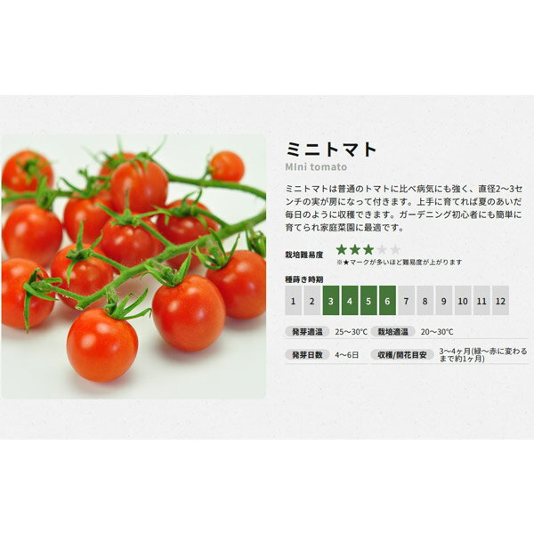 エンジョイプランター ミニトマト【タテ14.5cm×ヨコ23.5cm×高さ11.5cm プランター ...