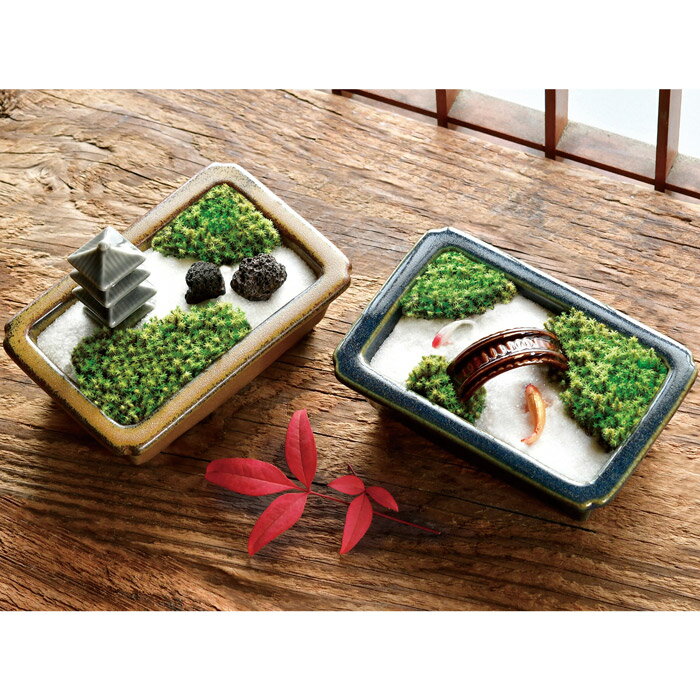 Bonsai - 禅庭 ZEN GARDEN【ぜんてい 苔盆栽 手作りキット 母の日 父の日 敬老の日 ギフト プレゼントに】送料無料 マジックナイト