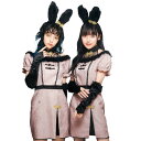 シノワポネ ウサギ【チャイナ服 チャイナドレス うさぎ 兎 動物 アニマル コスプレ 衣装 ハロウィン 仮装 ワンピース カチューシャ グローブ 変装 中国 ピンク 女性 レディース 大人用】マジックナイト CS909187(3)