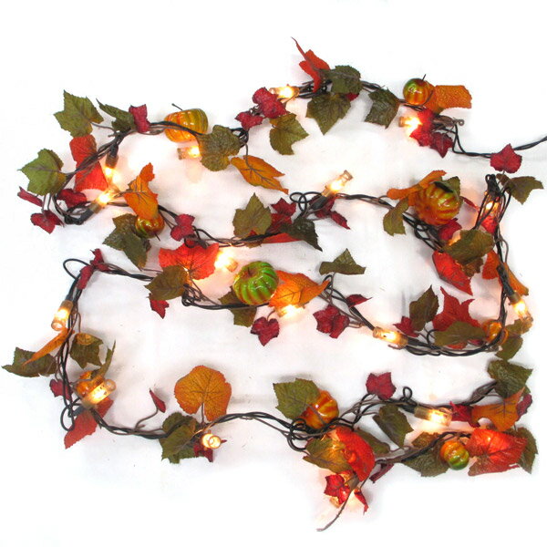 �������ɥ饤��20�� �ѥ�ץ���ڥϥ������� �ž� ���� ���å� ���� �꡼�� �ǥ��졼����� �������� �饤�� �ŵ� �� �� ����ۥޥ��å��ʥ��� HH530