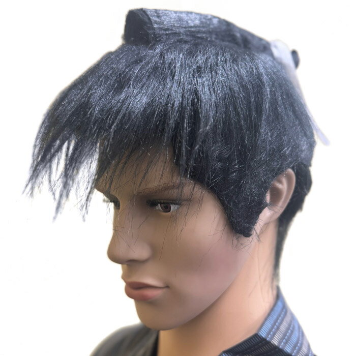 楽天市場】舞台 用 かつら（テーマ（コスチューム）時代劇）の通販