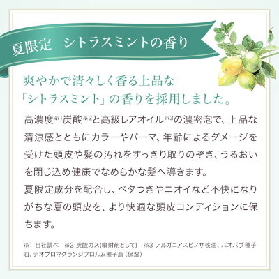 Lement高濃度炭酸オイルクレンジング&シャンプー/ルメント【バオバブオイル/アルガンオイル/クプアスオイル】スカルプケア