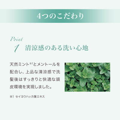 Lement高濃度炭酸オイルクレンジング&シャンプー/ルメント【バオバブオイル/アルガンオイル/クプアスオイル】スカルプケア