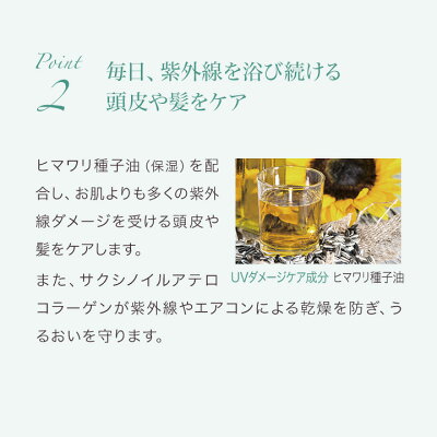 Lement高濃度炭酸オイルクレンジング&シャンプー/ルメント【バオバブオイル/アルガンオイル/クプアスオイル】スカルプケア