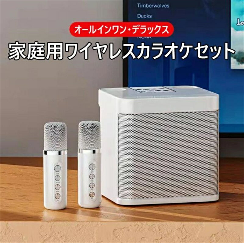 カラオケ機器 ホームデュオ カラオケ ステレオ ワイヤレス Bluetooth デュアル マイク スピーカー&マイク all in one 敬老の日