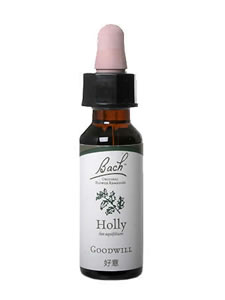 バッチフラワーレメディ ホリー 10ml